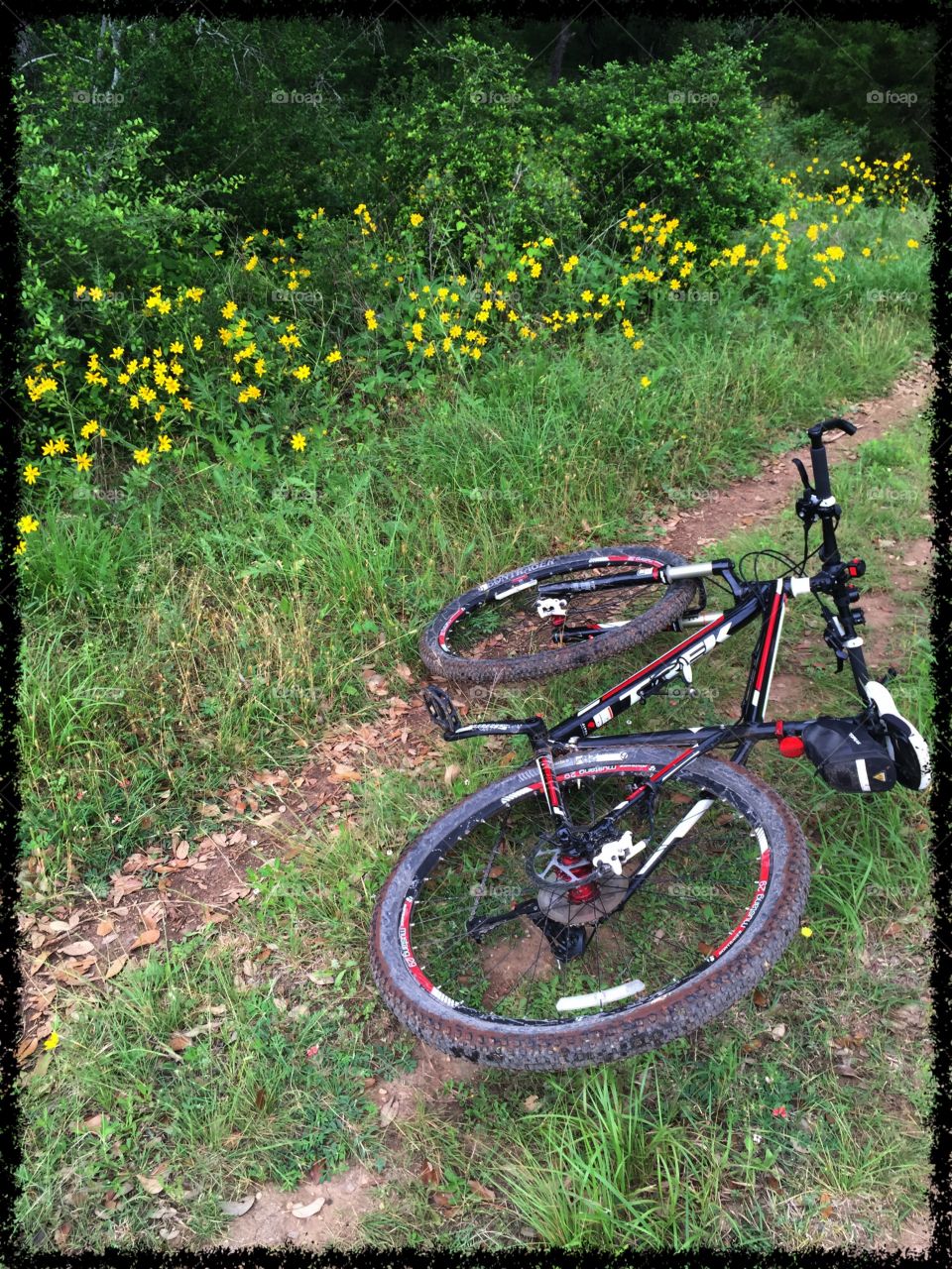 On the train - Mountain biking in the Texas Hill Country 