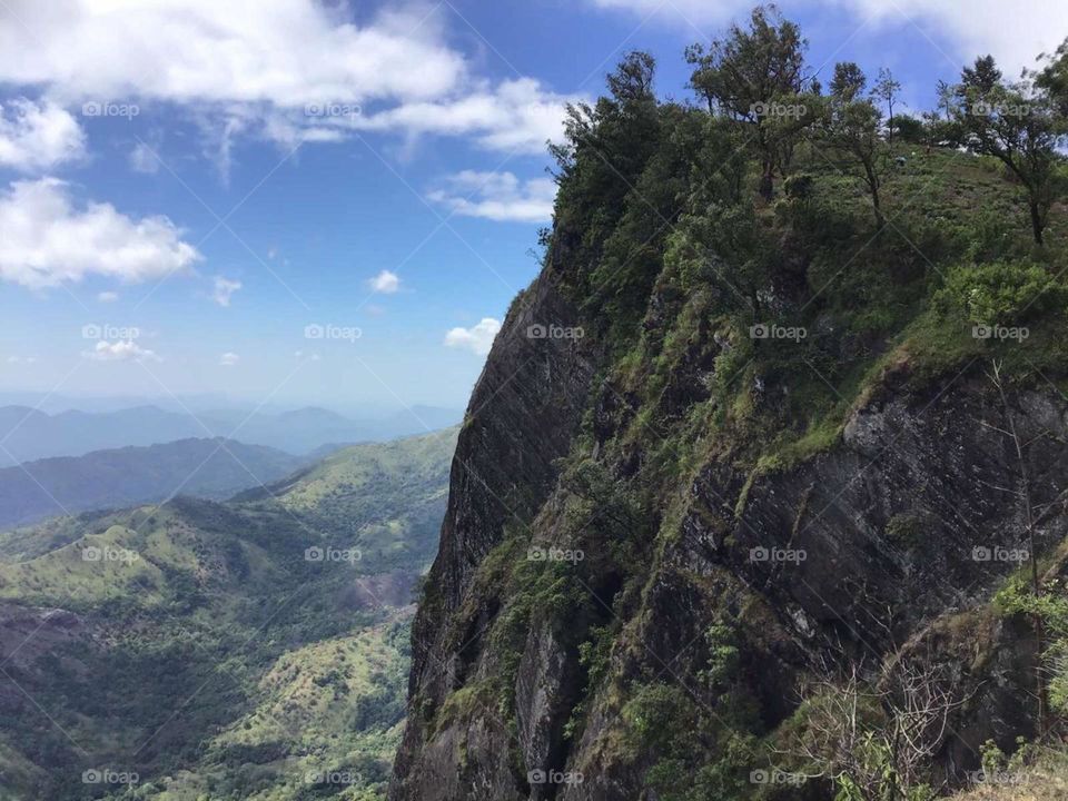 Nature create beauty