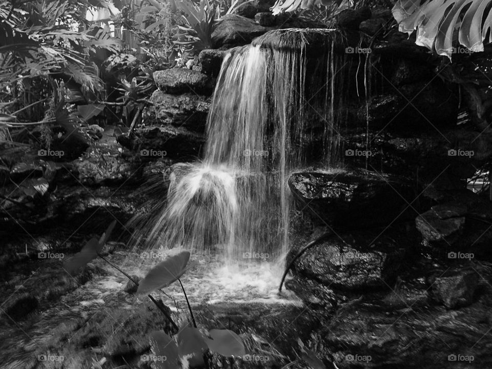 Cascading water falls over large boulders surrounded by lush tropical plants.