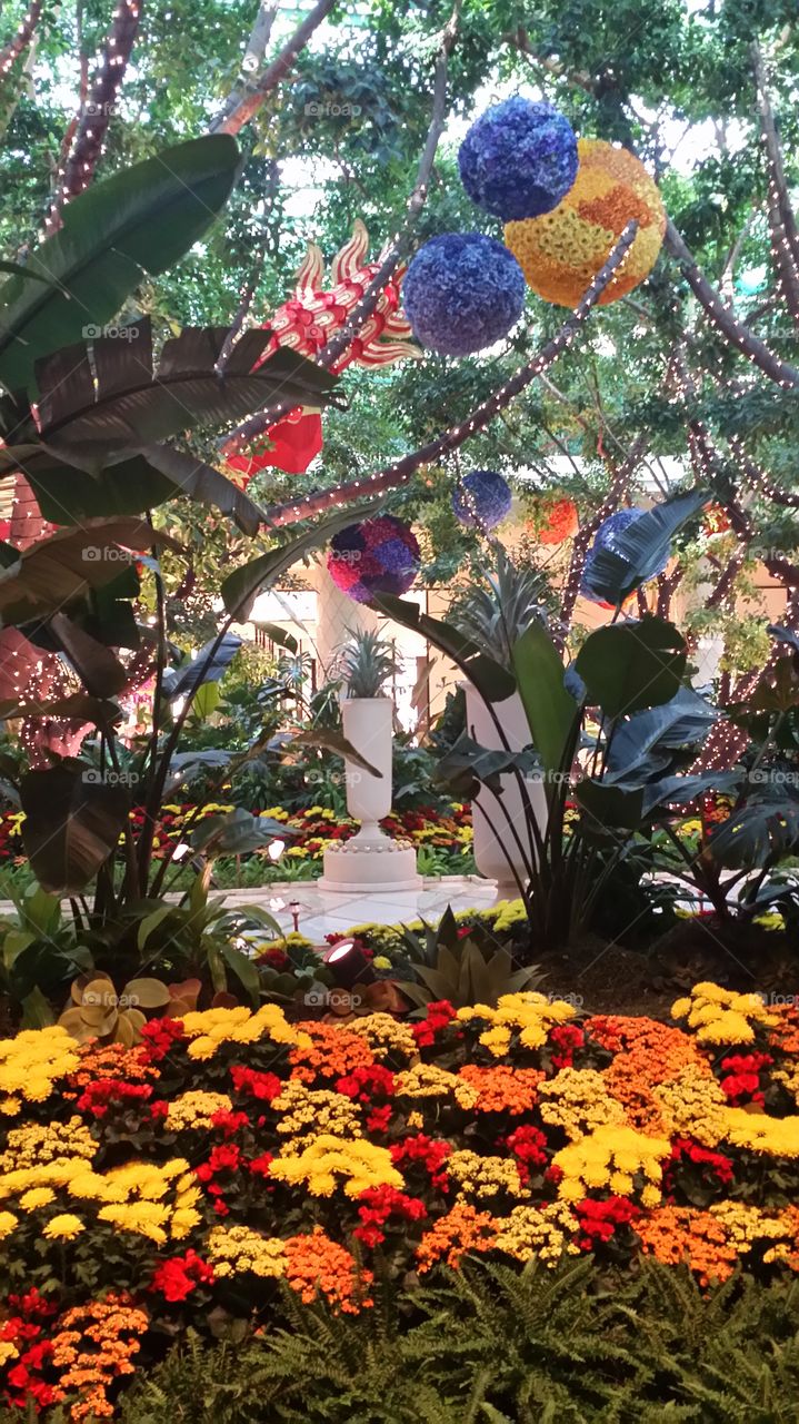 beautiful garden scene