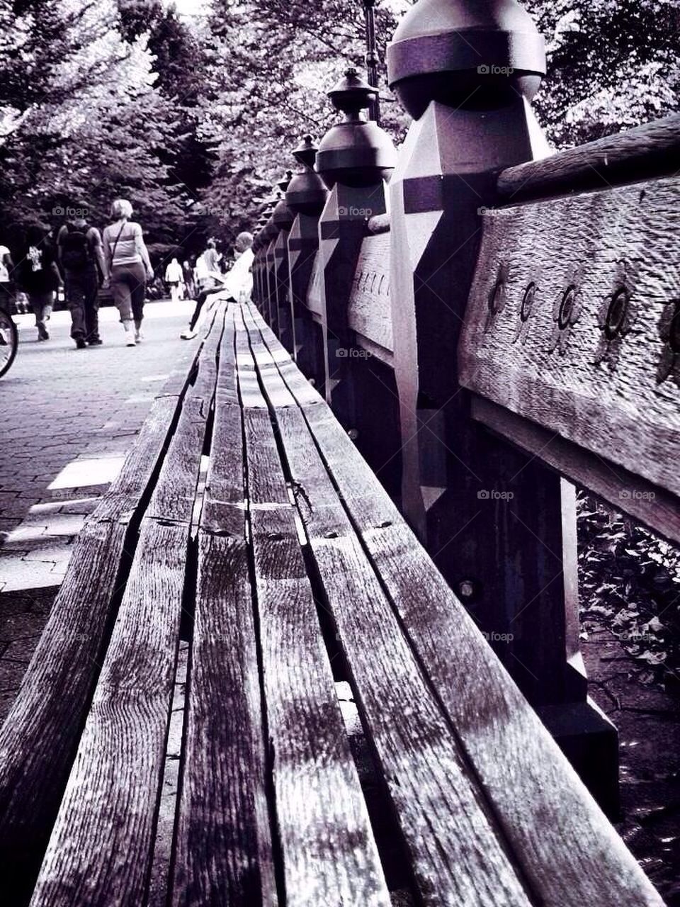 Central Park Bench 