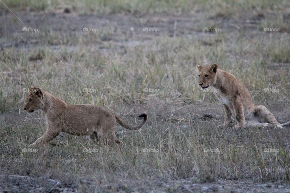 Hey....where you going