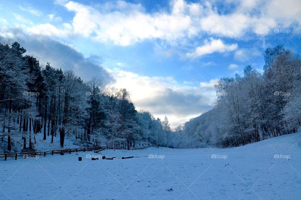 Snow, Winter, Cold, Landscape, Ice