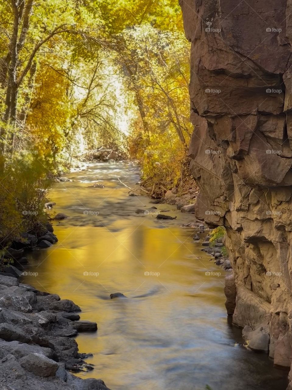 Fall colors in a canyon stream