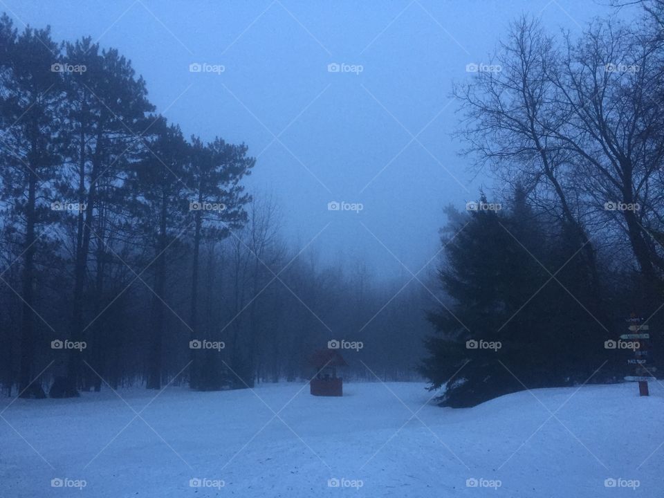 Is it spring morning fog