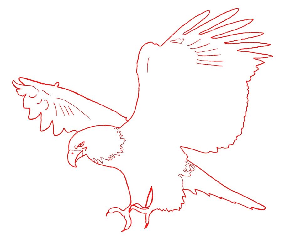 Eagle outline