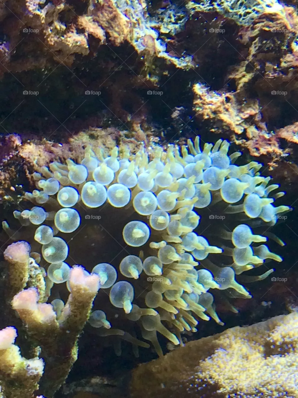 Underwater