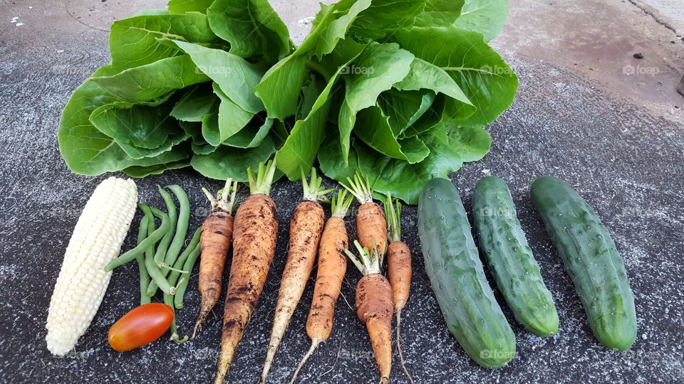 Variety of fresh vegetables