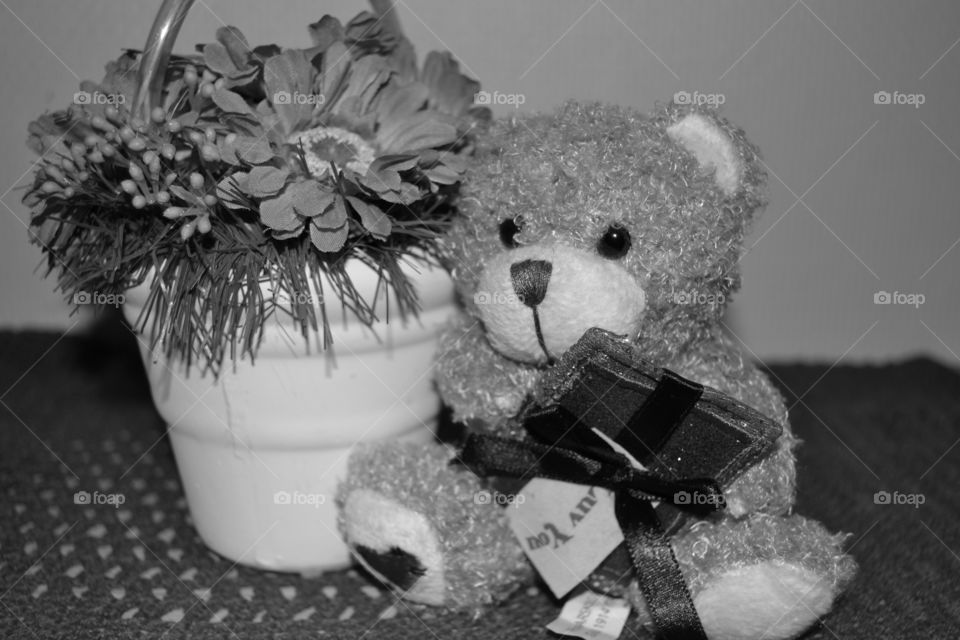 Tedy bear/Valentines day