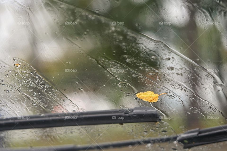 Windshield view