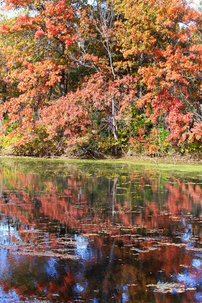 Reflections of Autumn 