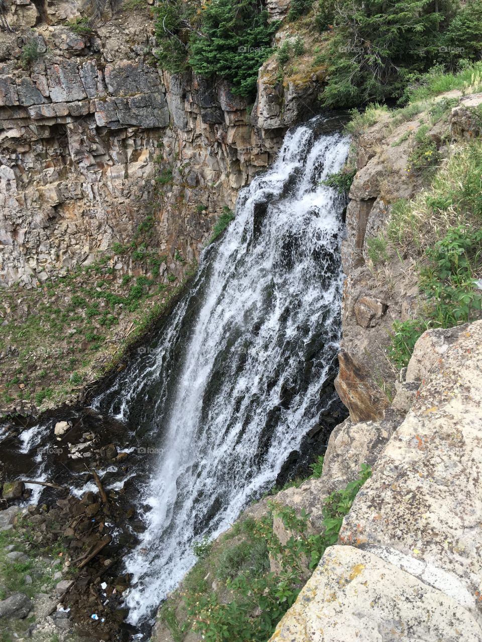 Waterfall in yellowstone national park