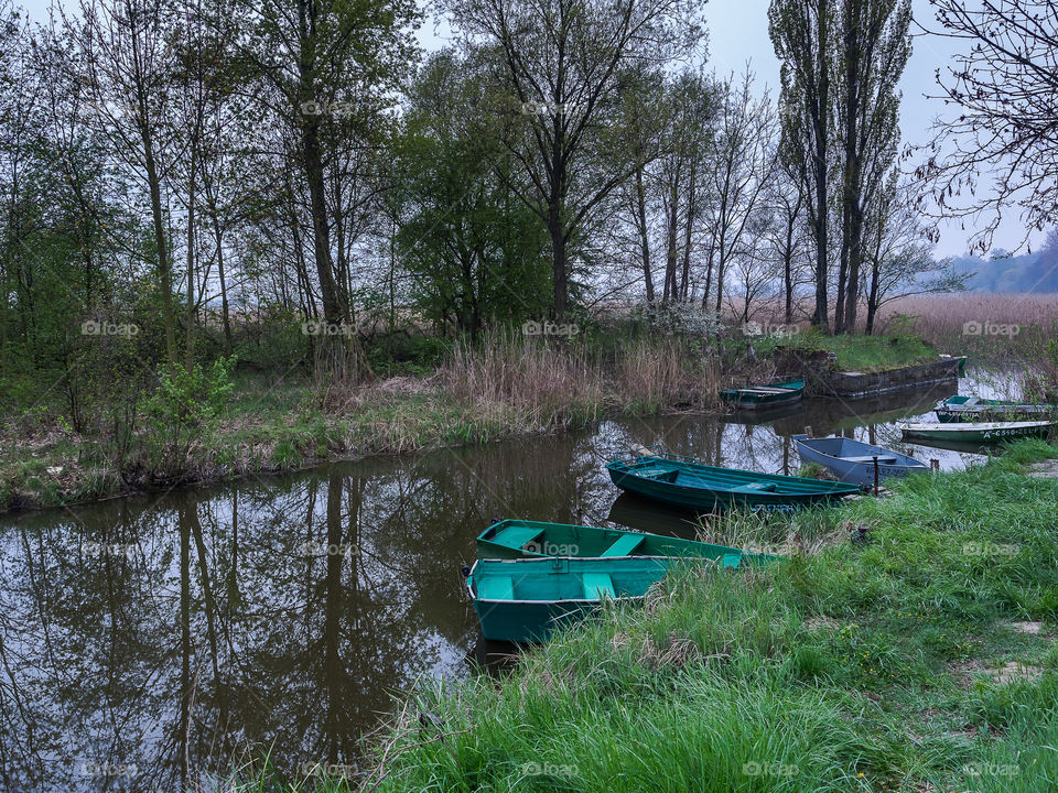 Kilka łodzi