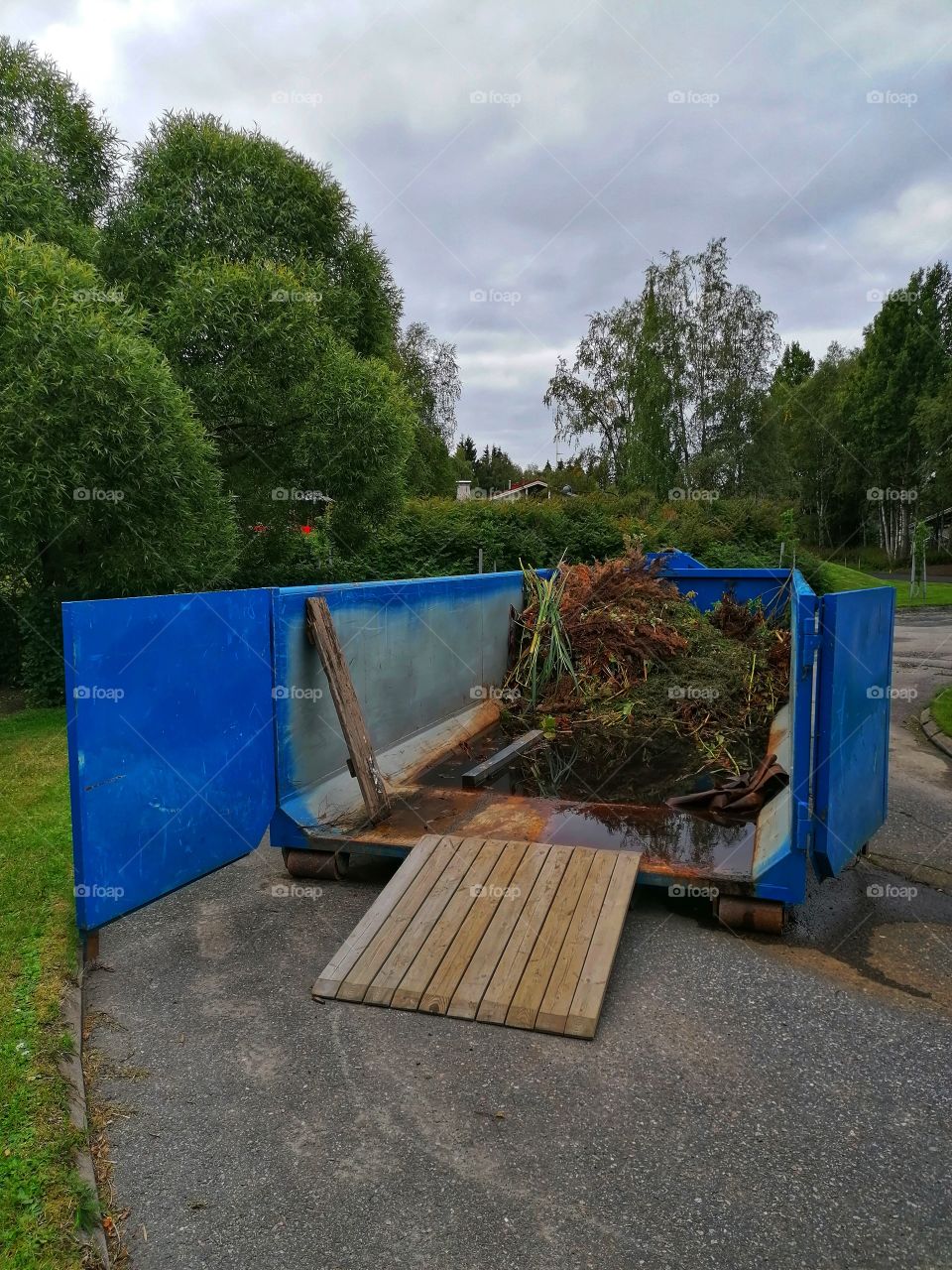 The Finnish garden needs a gardener in September. There are a lot of plants that need care for the winter.