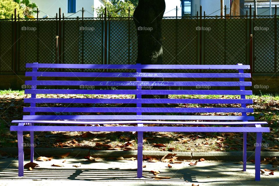 purple bench