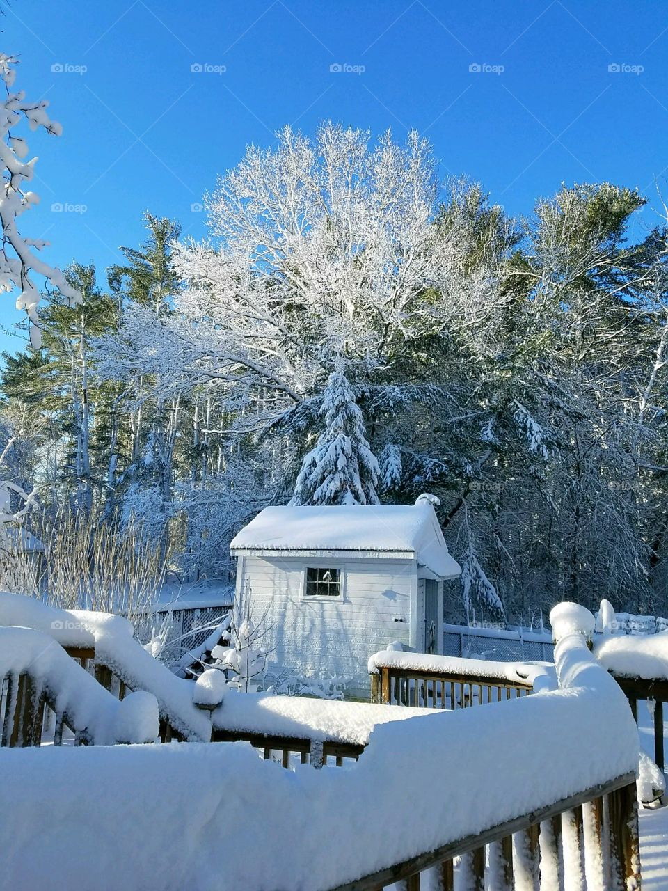 A look at the pristine perfect day after a snowstorm with the sun shining.