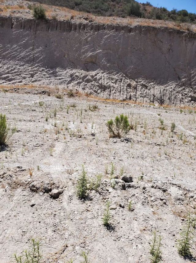 cerros
