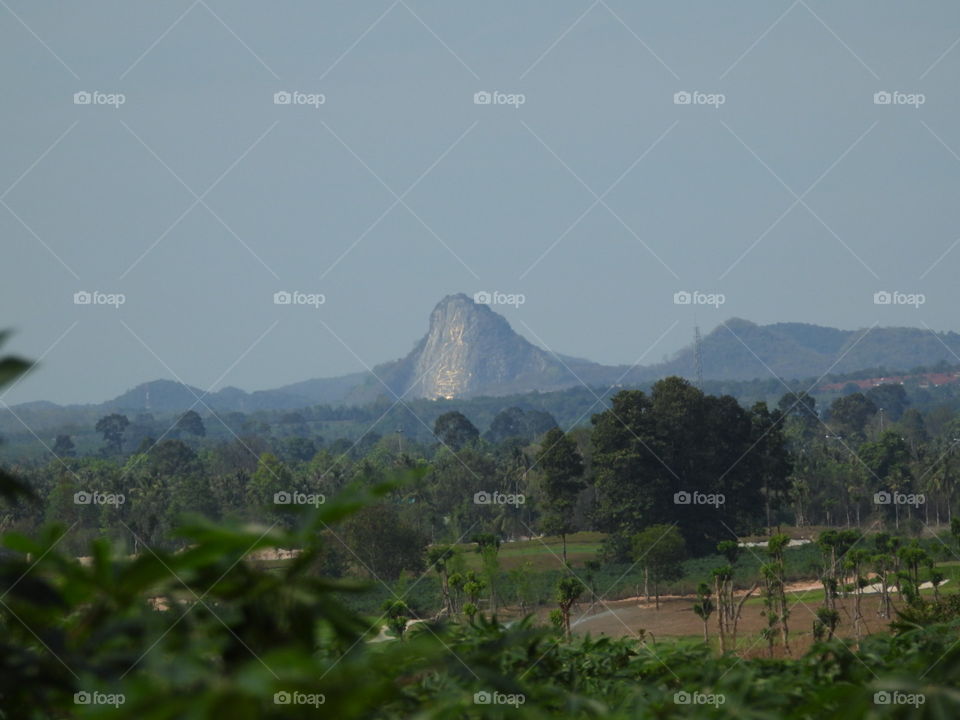 Pic 2 Of 3 Buddha Mountain 