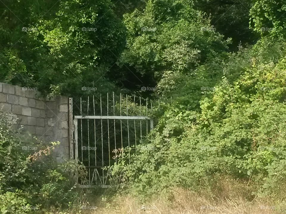 Old garden door