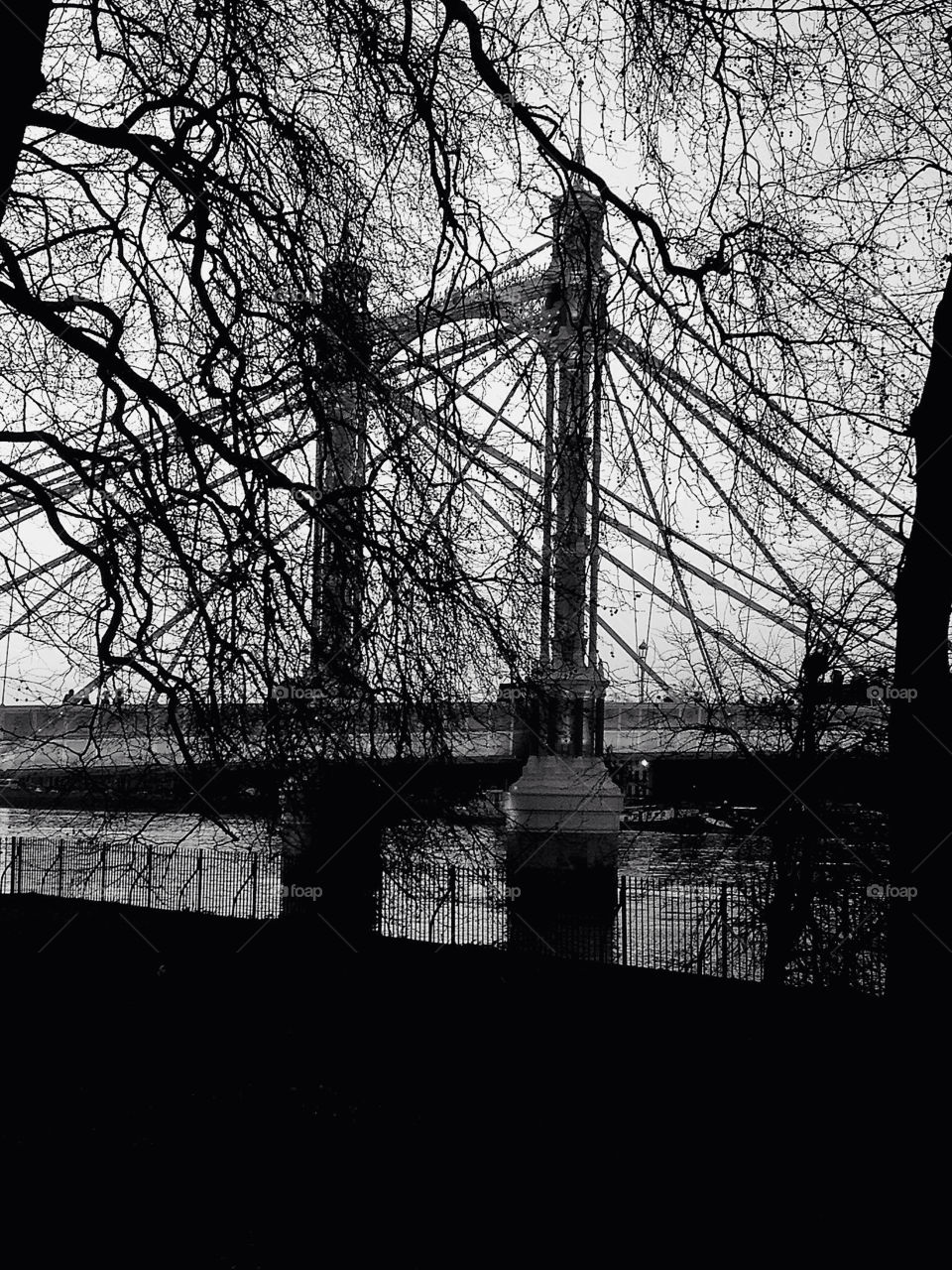 white black tree bridge by angeljack