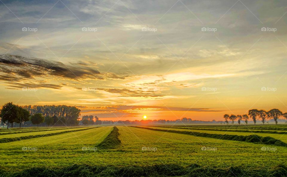 Dramatic and colorful sunrise sky over a grass farmfield