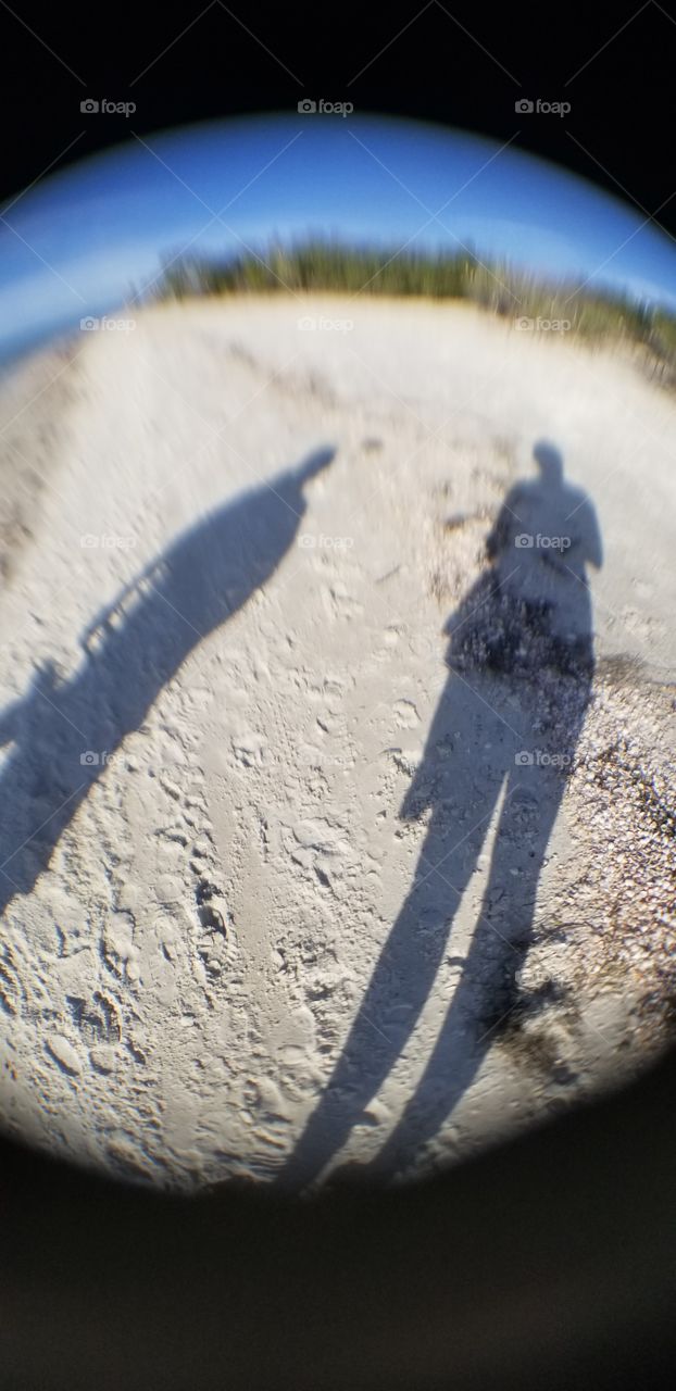 long shadows on a Florida winter day