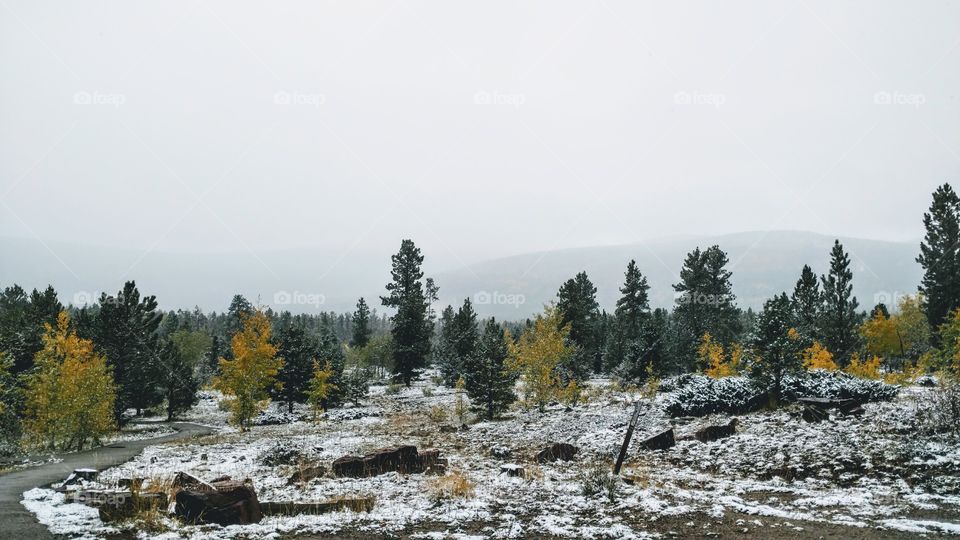 Early Fall Snow
