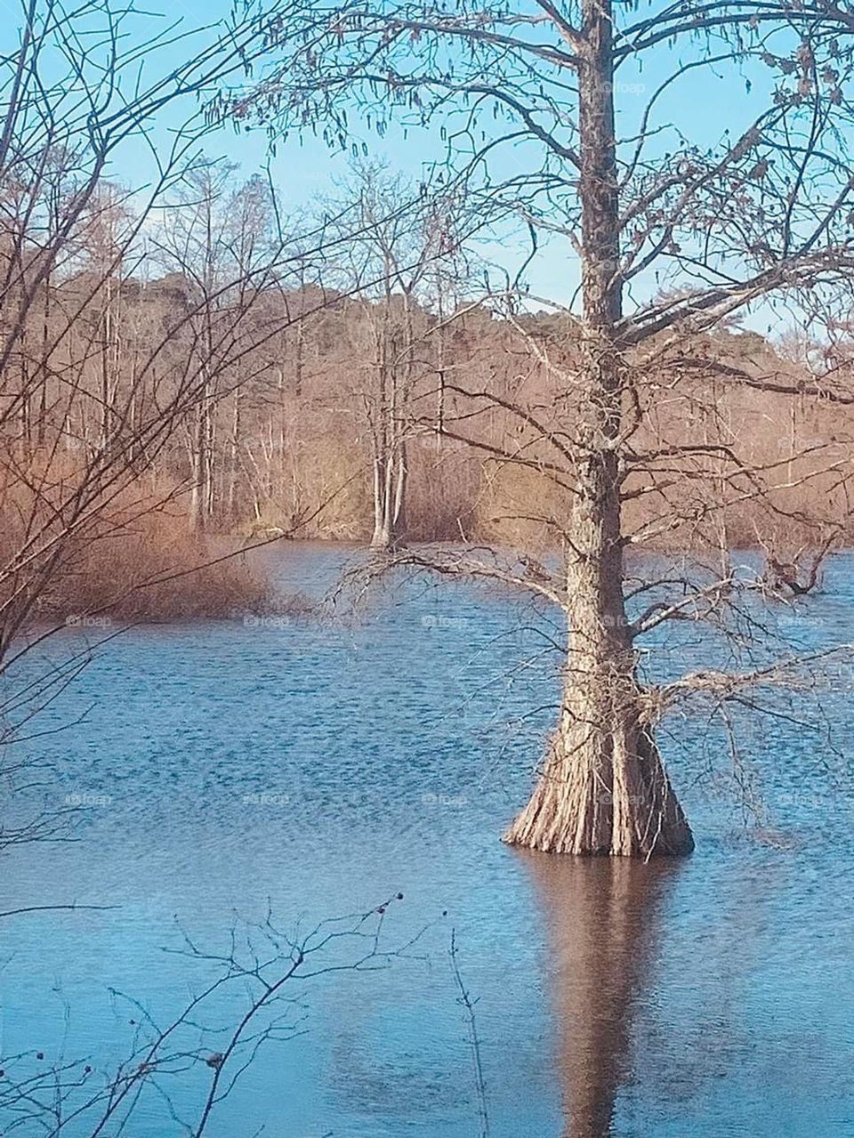 Stumpy Lake, Va