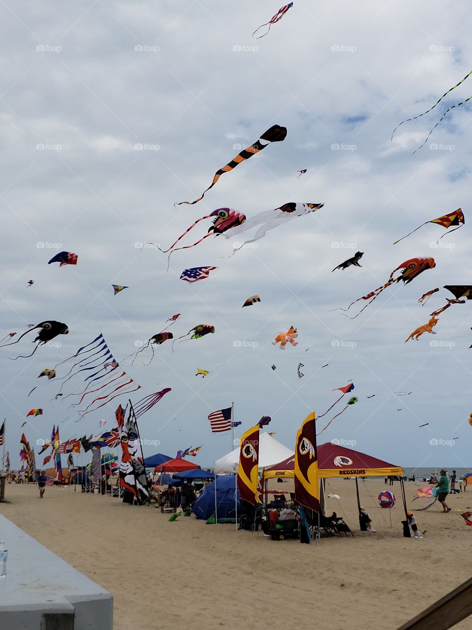 kites in flight