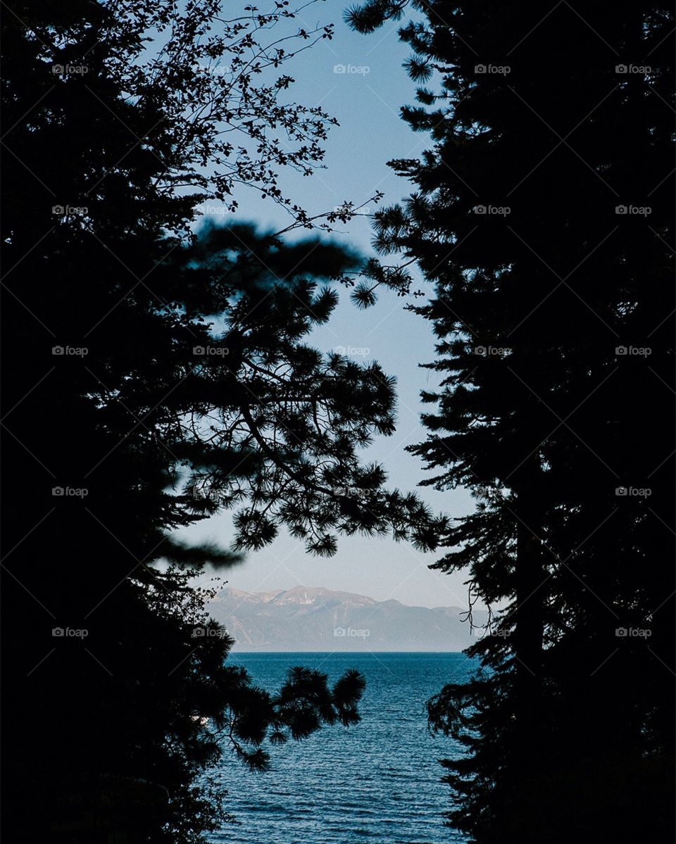 Window into Lake Tahoe