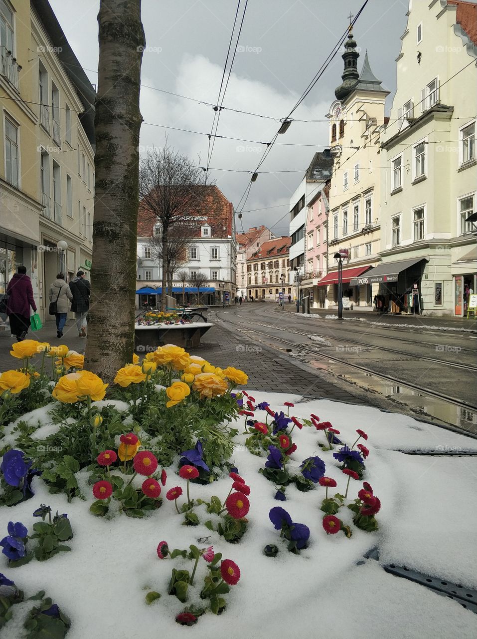 flowers in a flower bed in the snow on a city street