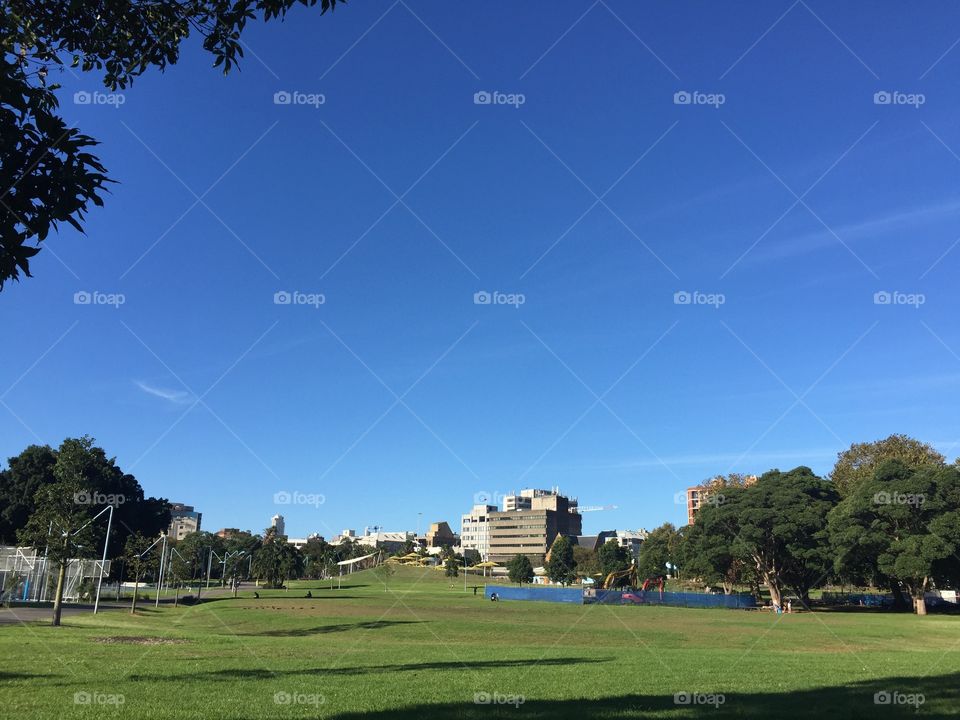 Beautiful central Sydney park