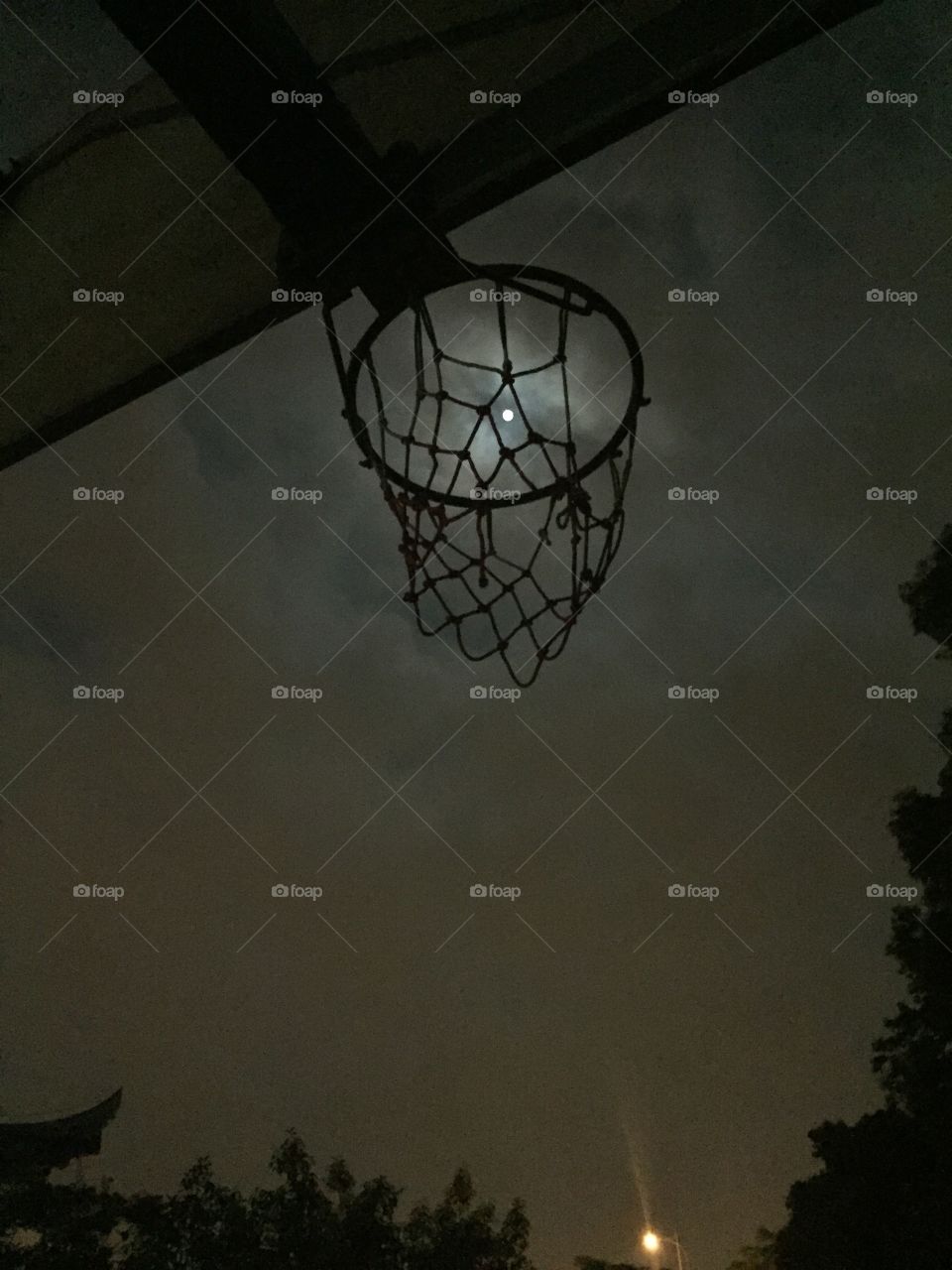 Moon in the basket