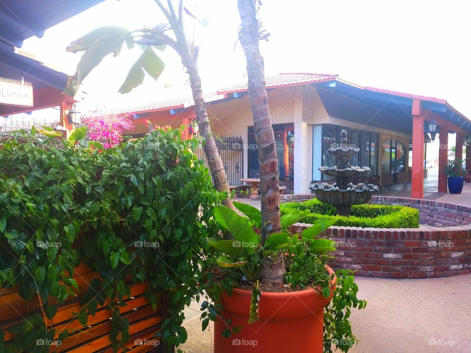 Mall Garden and Fountain