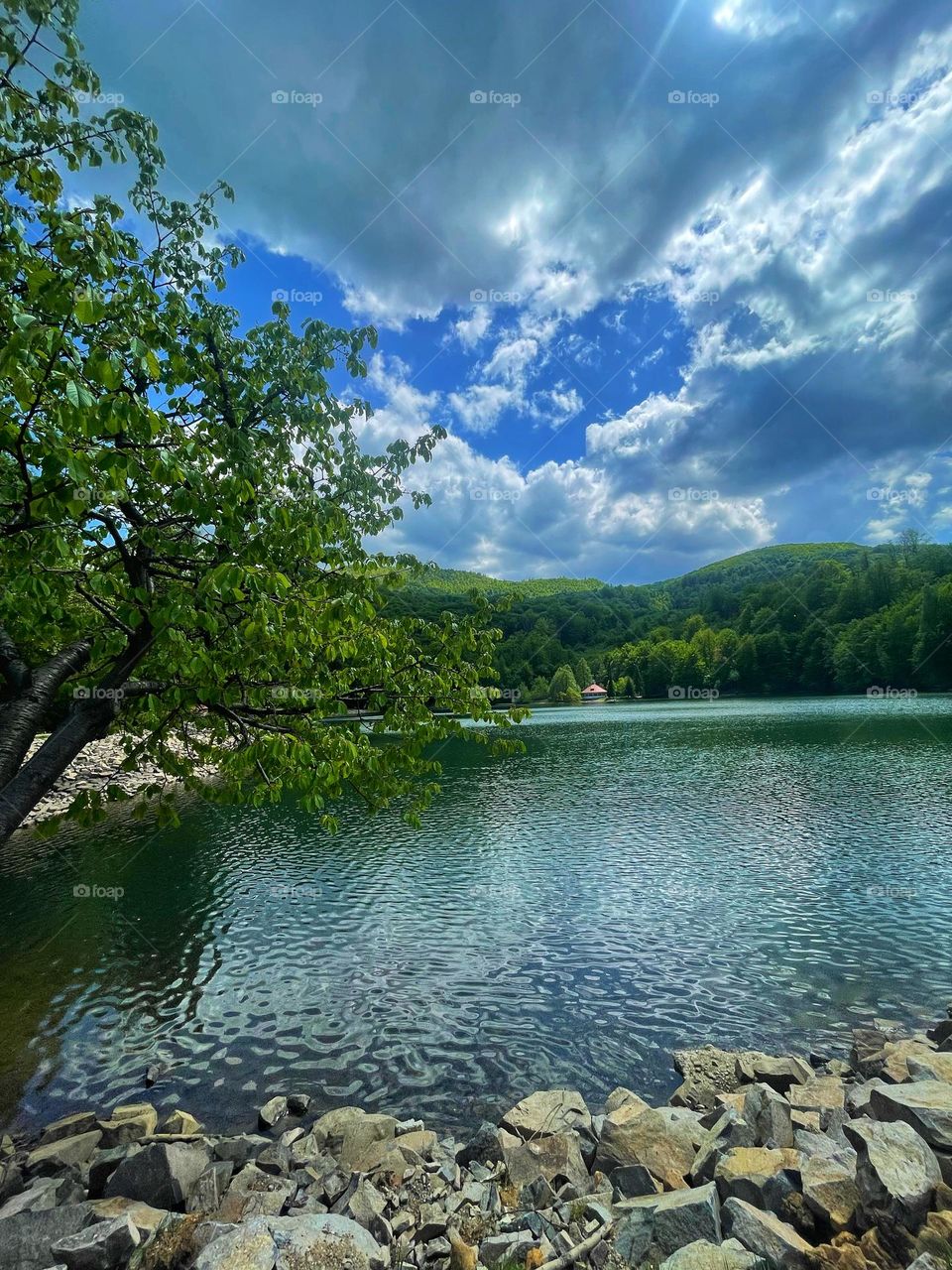 Water in the nature