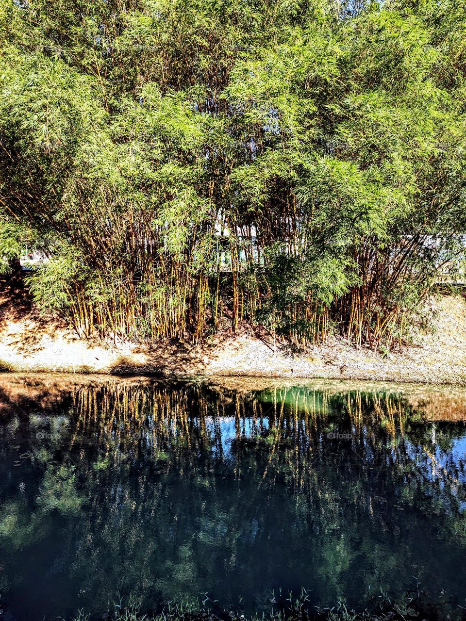 Indaiatuba Ecological Park