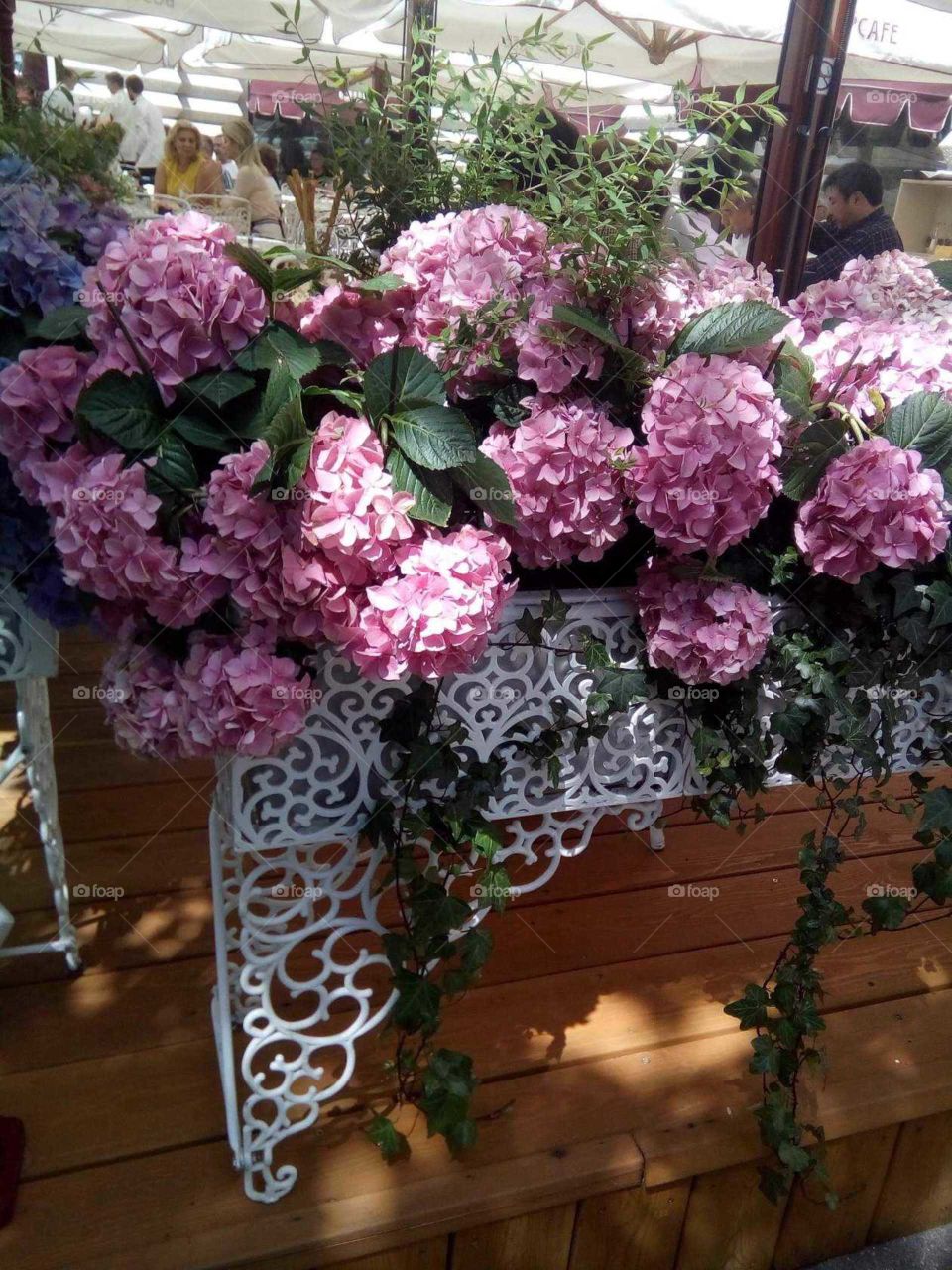 flower decorations