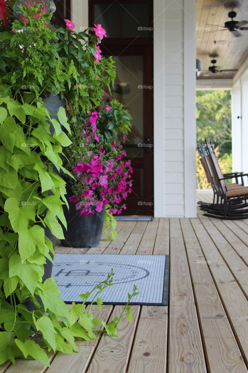 The plants next to the entrance are brightly welcoming