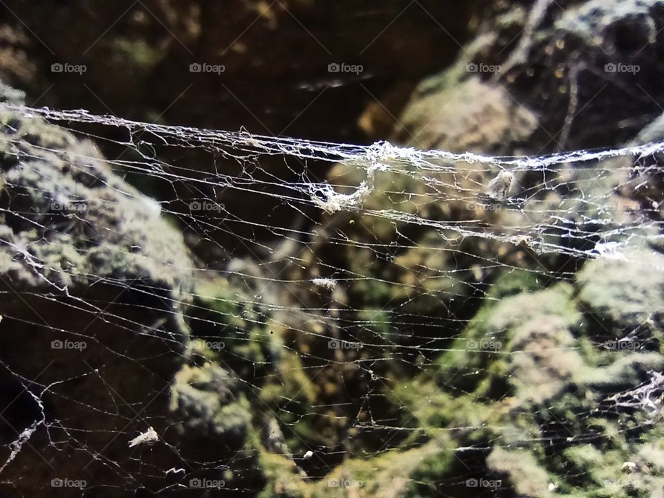 A close makro view of spider's cobweb between the rocks in the dark illumined cave