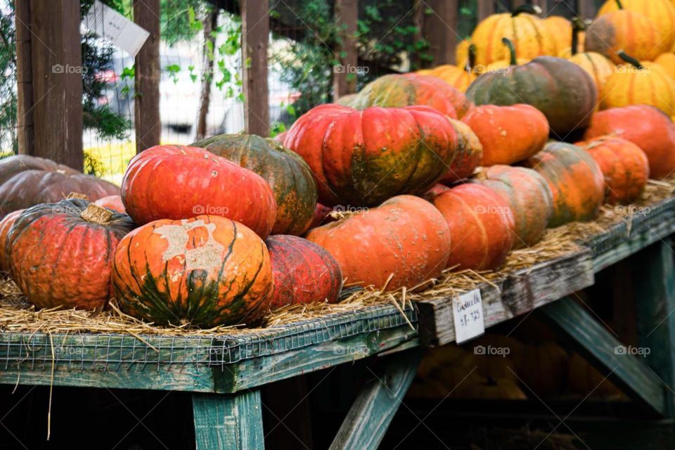 Pick a Pumpkin