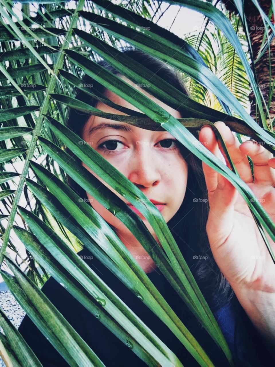 Entre o mistério das folhas