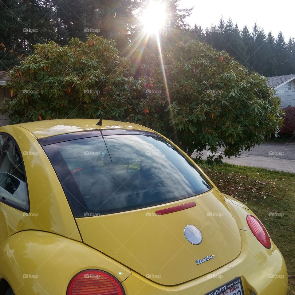 Yellow car under low Fall sun.