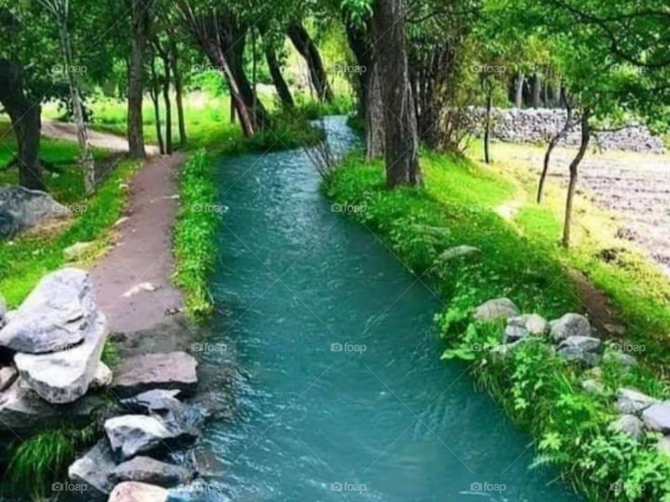 beautiful small river