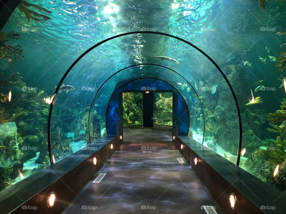 Aquarium tunnel