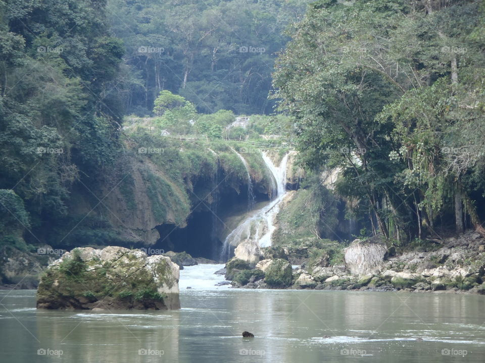 Semuc Champey Waterfall. This is the waterfall at the end of the limestone bridge that is the natural wonder if Semuc Champey, Guatemala 