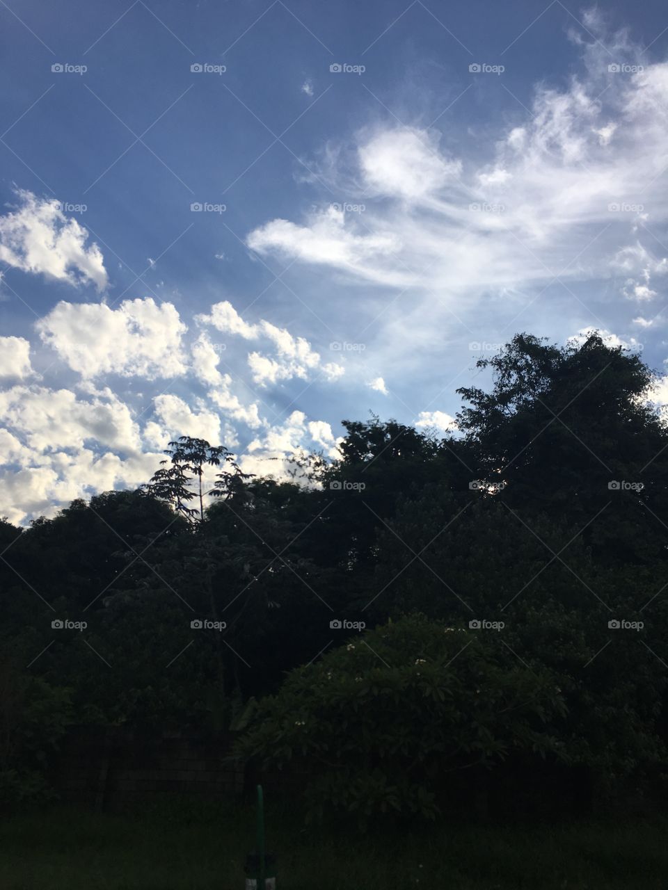 ‪Yes, we have céu azul. ‬
‪ATÉ QUE ENFIM a chuva se foi...‬