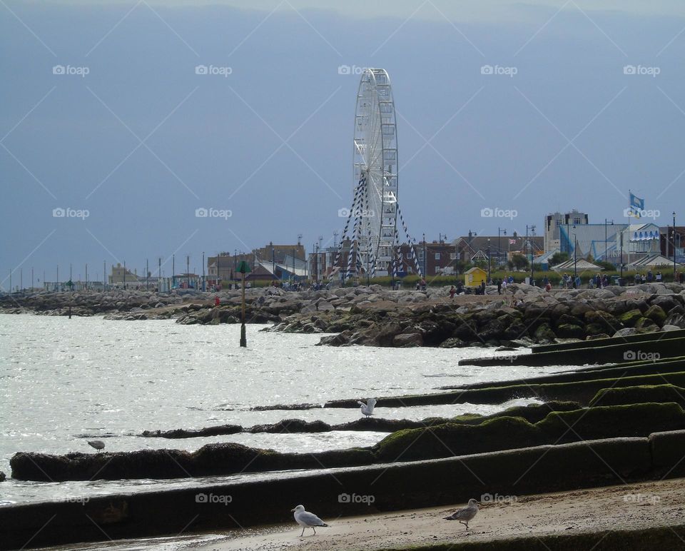 Felixstowe "eye", new carousel, landscape with seagulls