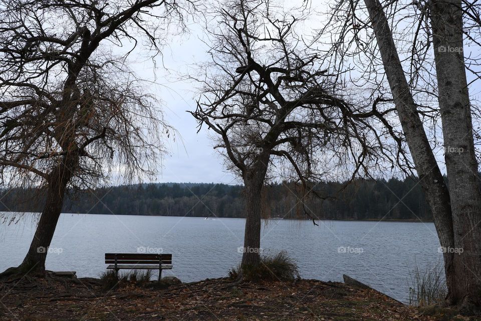 Empty bench facing the lake