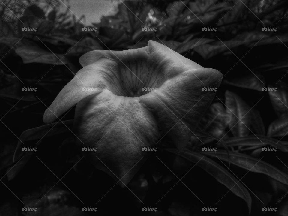 Awesome dark. dark edition