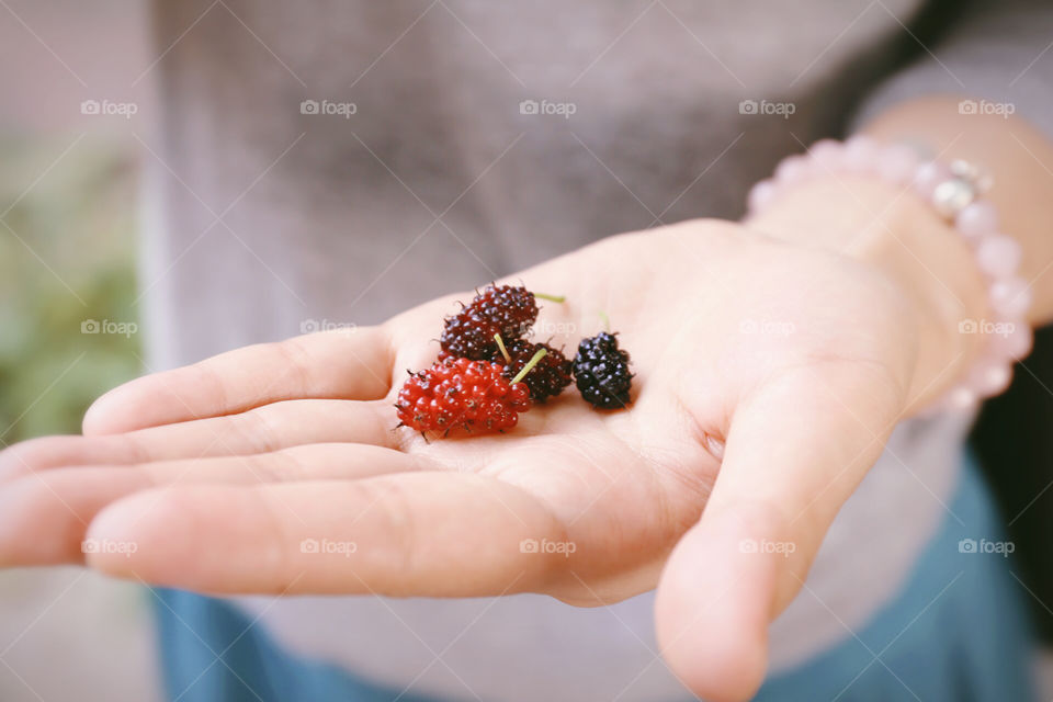 Food, Fruit, Woman, Berry, Nature